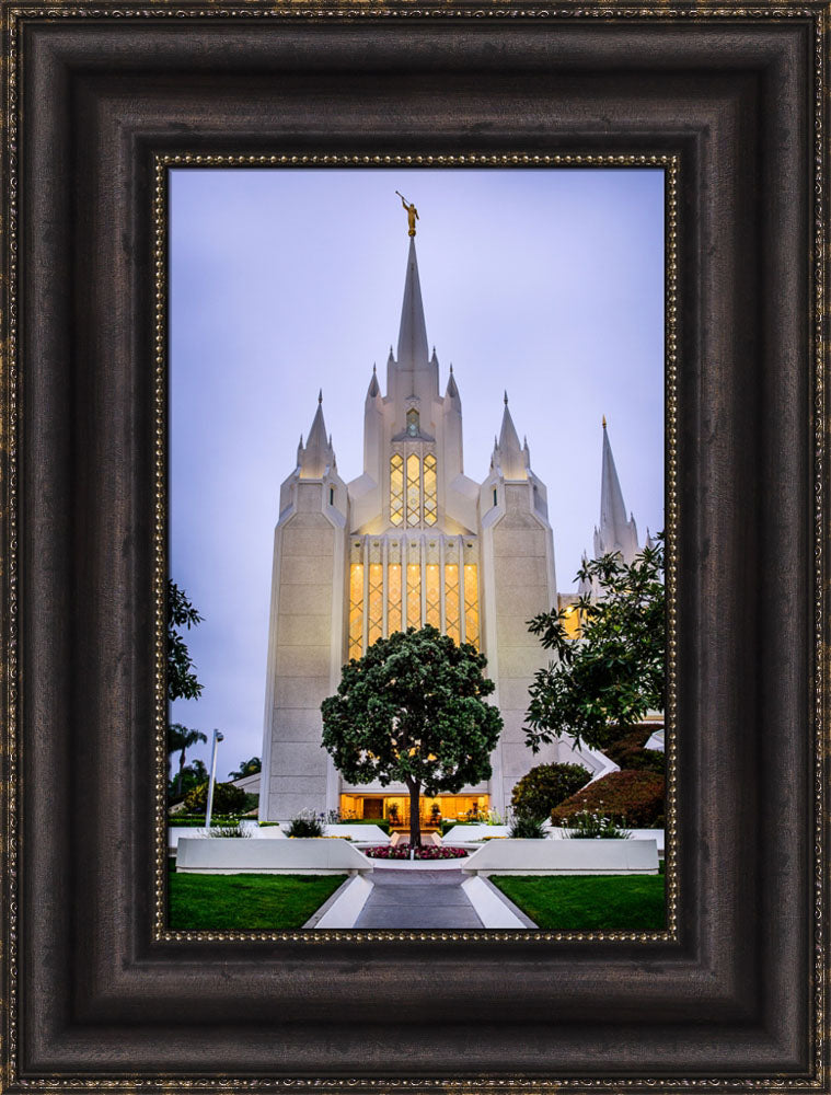 San Diego Temple - Tree by Scott Jarvie | Altus Fine Art