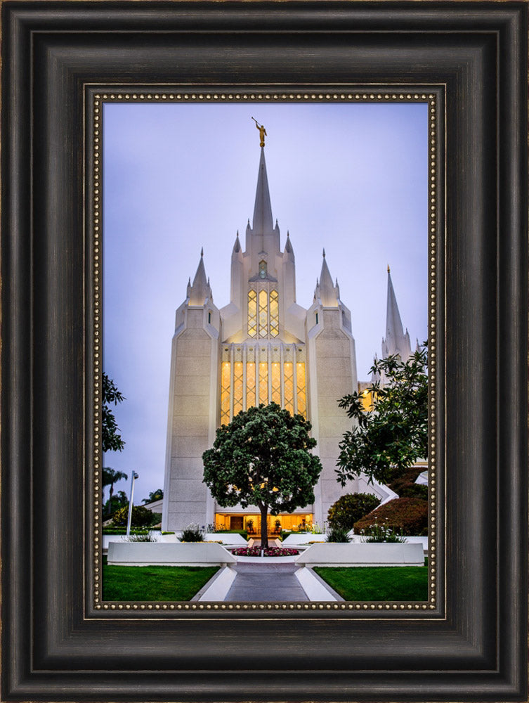 San Diego Temple - Tree by Scott Jarvie | Altus Fine Art