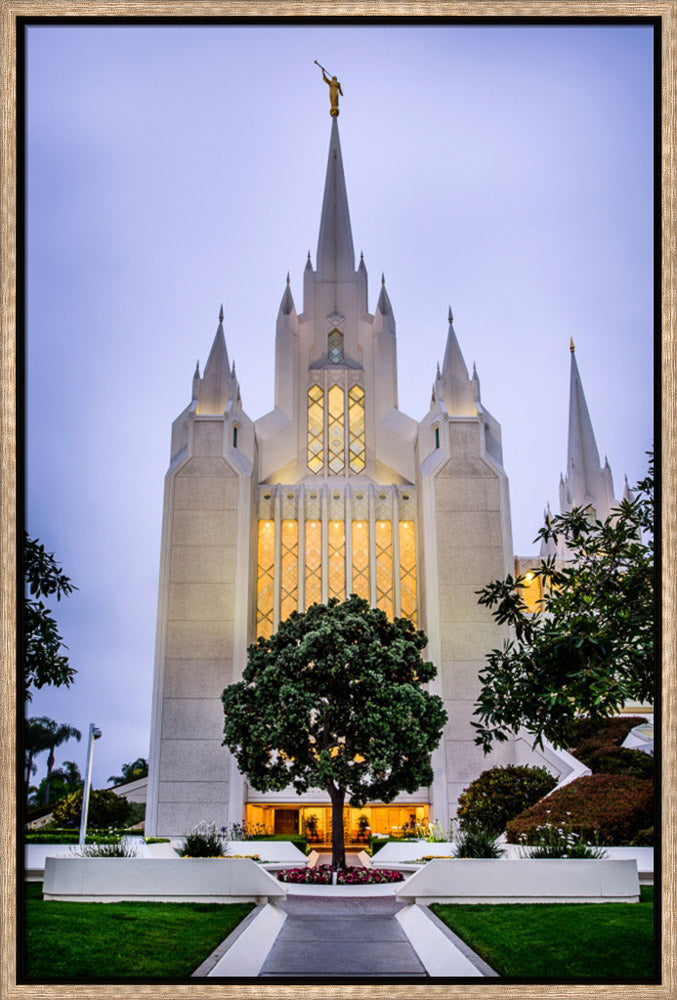 San Diego Temple - Tree by Scott Jarvie