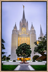 San Diego Temple - Tree by Scott Jarvie