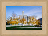 Mt Timpanogos Temple - Fall Trees by Scott Jarvie