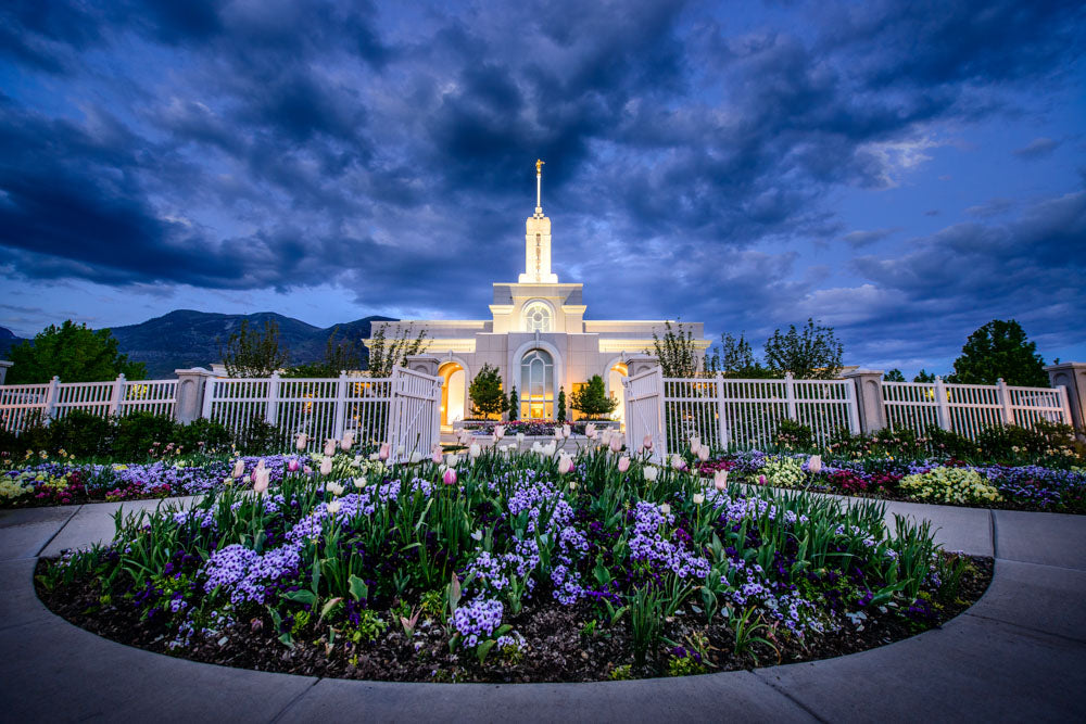 Mt Timpanogos Temple - Flowers by Scott Jarvie