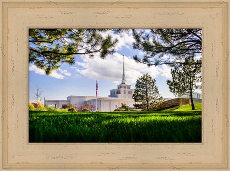 Billings Temple - Through Trees by Scott Jarvie