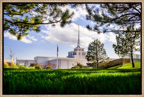 Billings Temple - Through Trees by Scott Jarvie