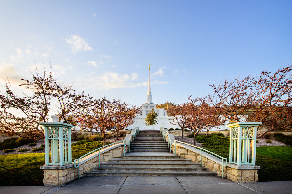 Billings Temple - Stairs by Scott Jarvie