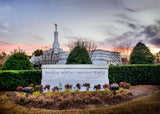 Raleigh Temple - Sunset Sign by Scott Jarvie