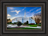 Raleigh Temple - Corner by Scott Jarvie