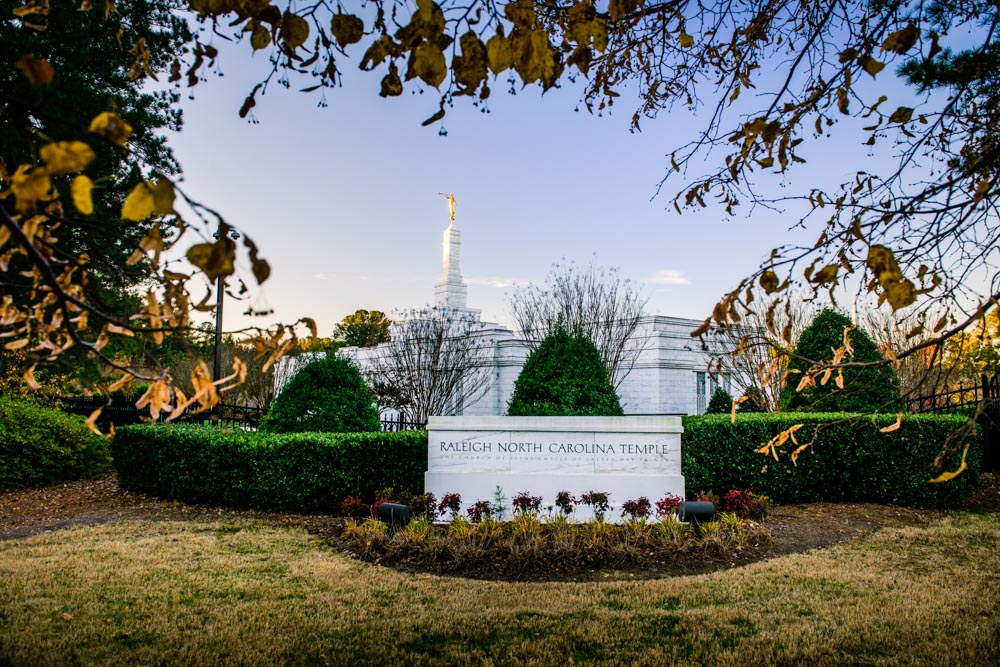 Raleigh Temple - Through the Leaves by Scott Jarvie