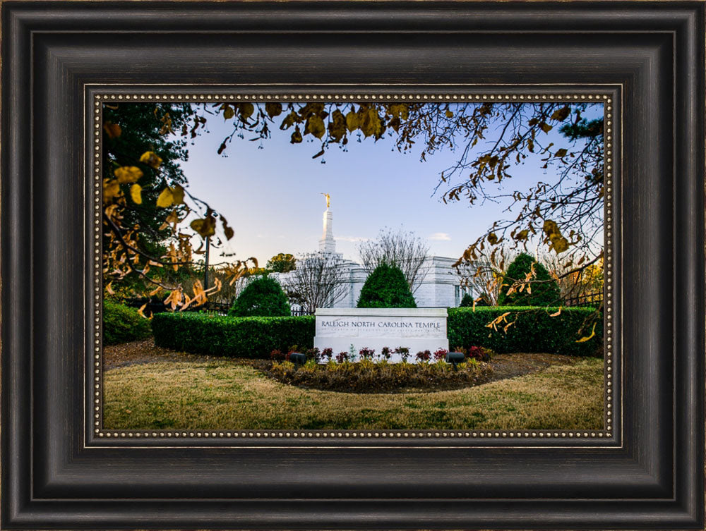 Raleigh Temple - Through the Leaves by Scott Jarvie