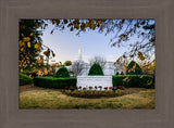 Raleigh Temple - Through the Leaves by Scott Jarvie