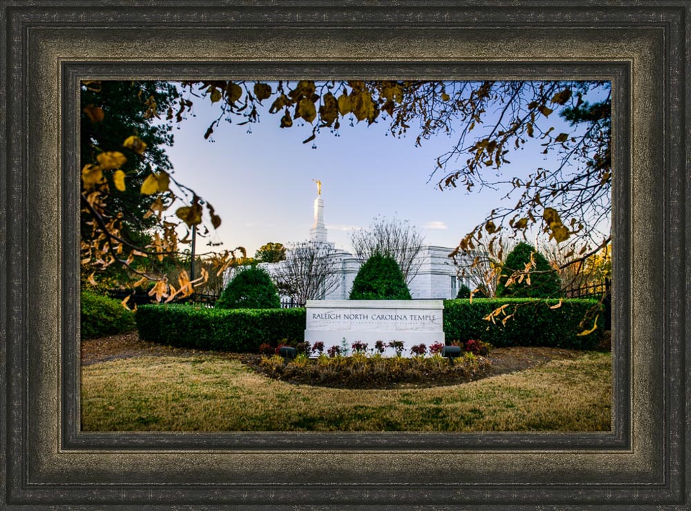 Raleigh Temple - Through the Leaves by Scott Jarvie
