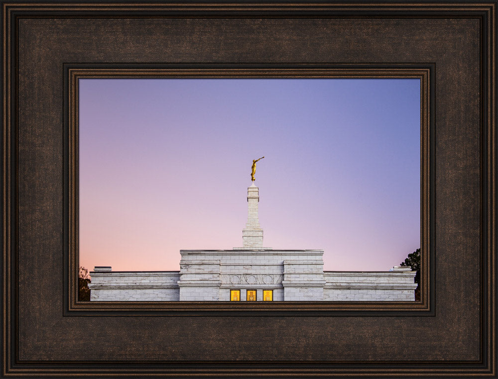 Raleigh Temple - Pink and Purple by Scott Jarvie