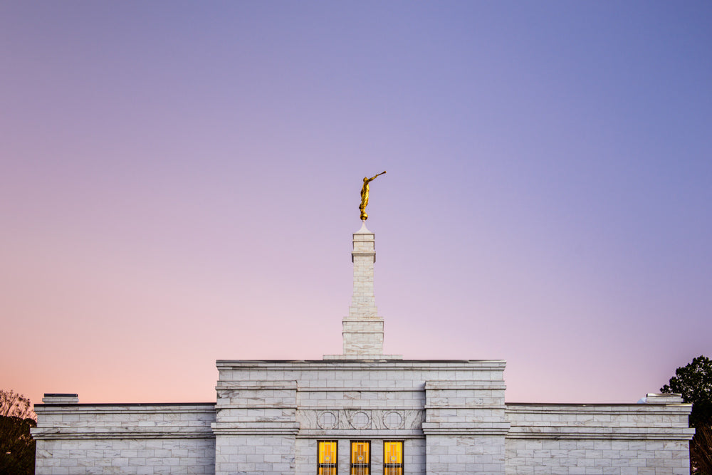 Raleigh Temple - Pink and Purple by Scott Jarvie