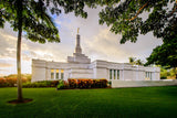 Kona Temple - Bushes on the Side by Scott Jarvie