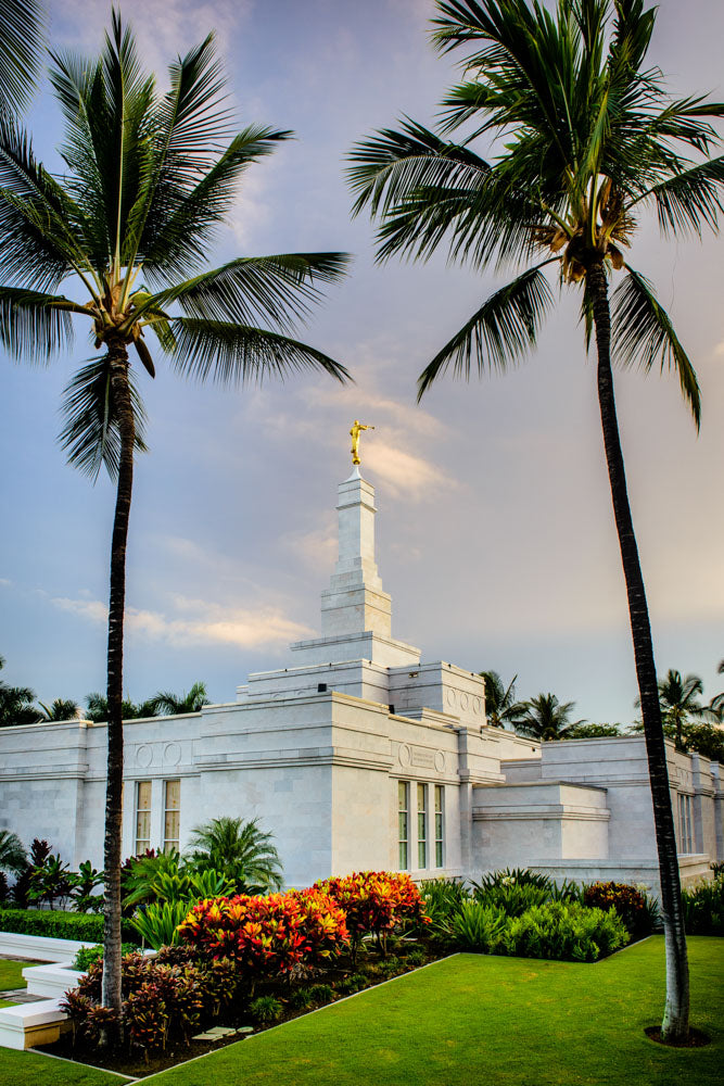 Kona Temple - Palm Trees by Scott Jarvie