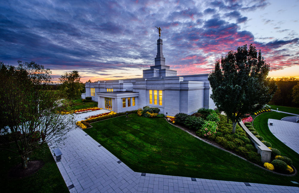 Palmyra Temple - Pathway to the Temple by Scott Jarvie