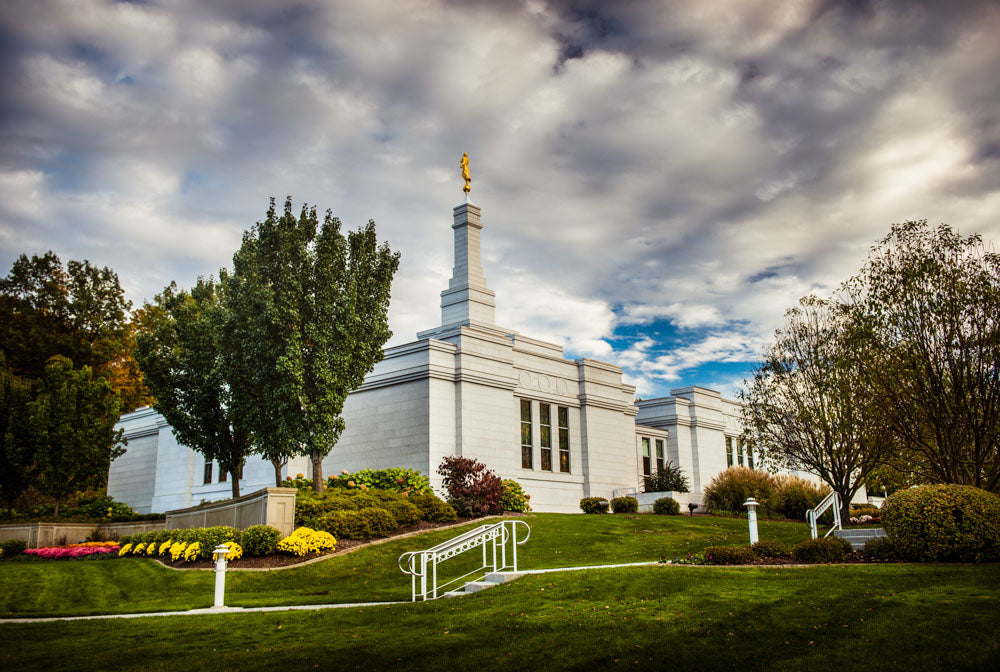 Palmyra Temple - Patch of Blue by Scott Jarvie