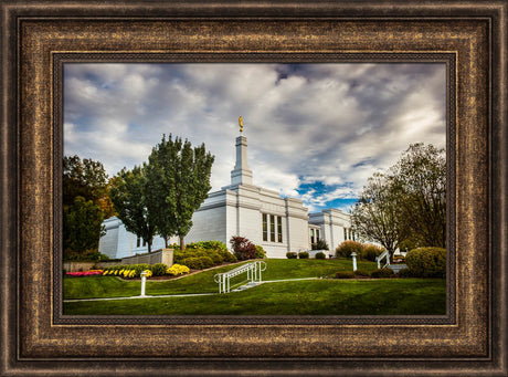 Palmyra Temple - Patch of Blue by Scott Jarvie