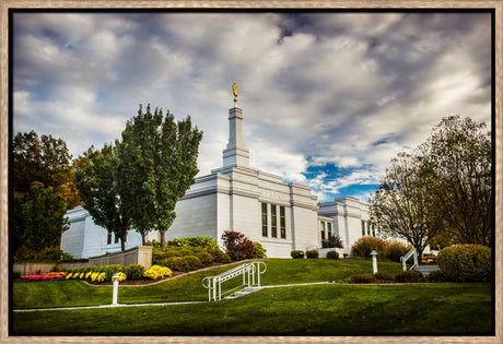 Palmyra Temple - Patch of Blue by Scott Jarvie