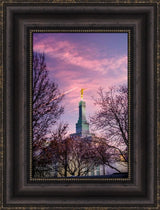 Fresno Temple - Through the Trees by Scott Jarvie