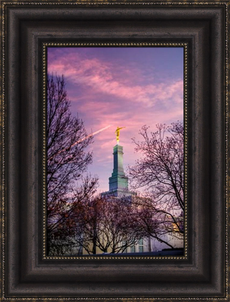 Fresno Temple - Through the Trees by Scott Jarvie