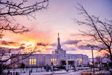 Reno Temple - Sunrise through the Trees by Scott Jarvie