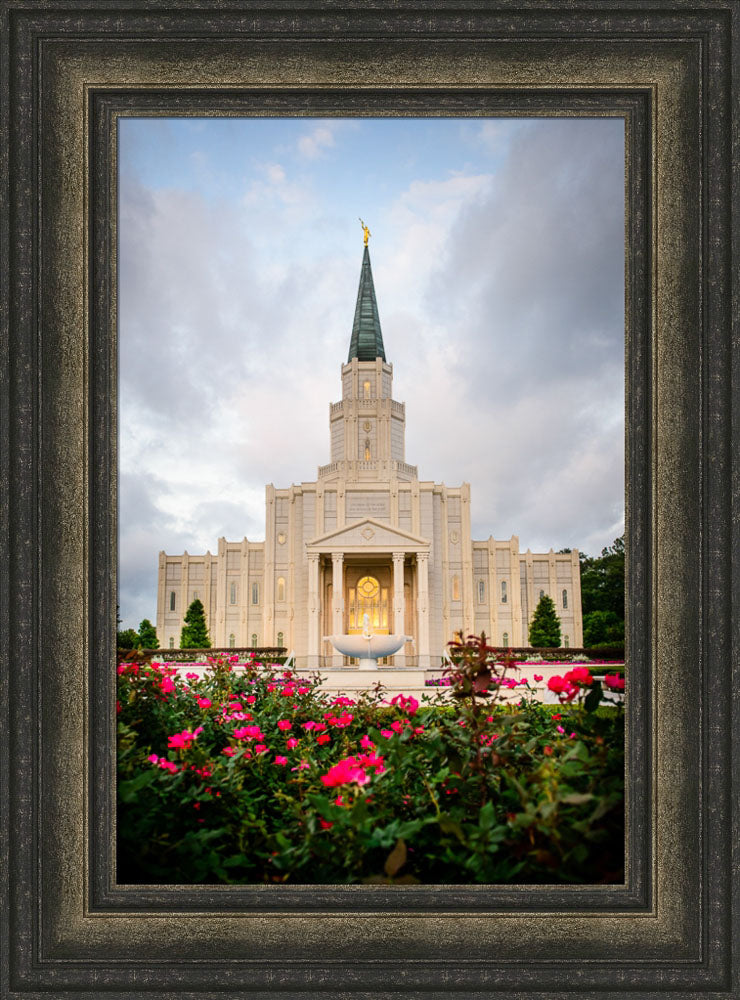 Houston Temple - Temple -Flowers by Scott Jarvie