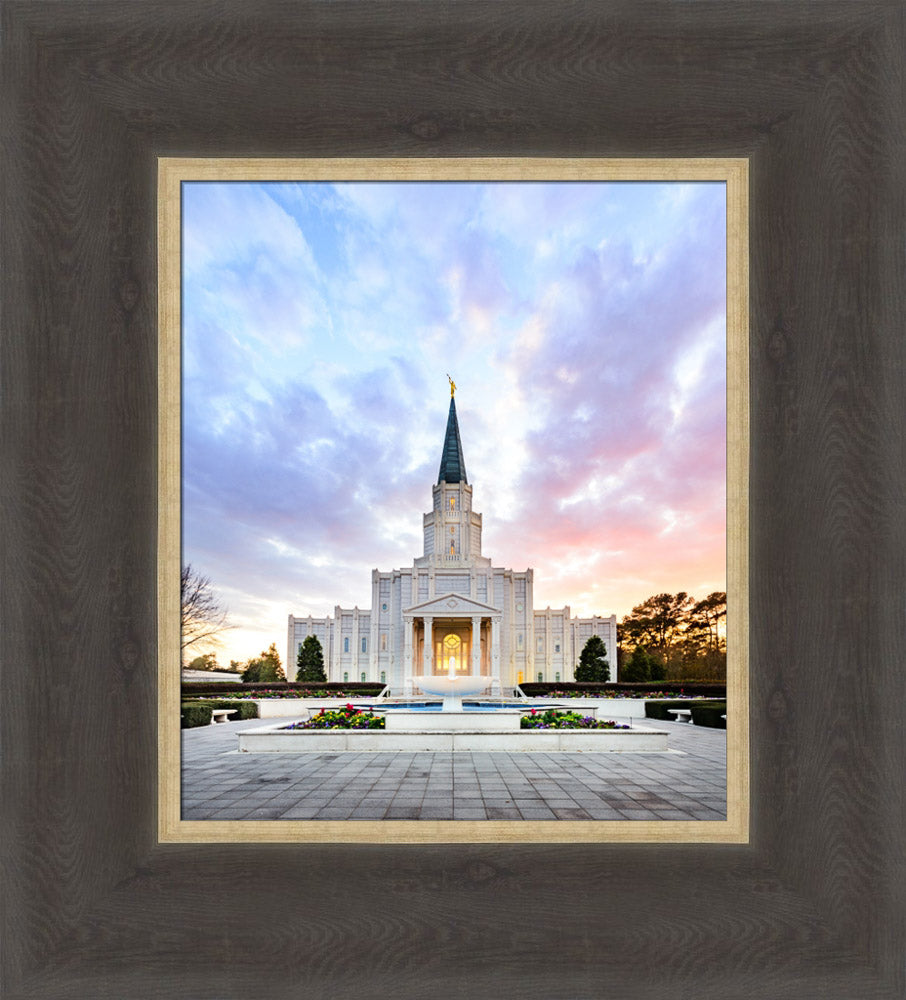 Houston Temple by Scott Jarvie