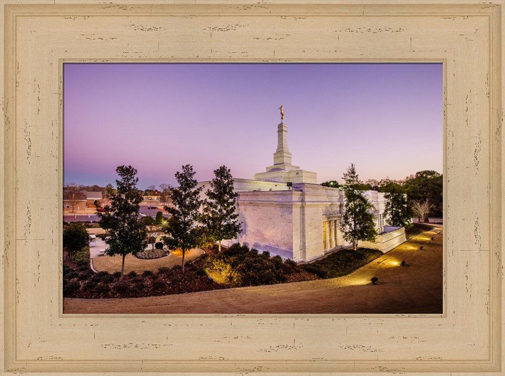 Birmingham Temple - Back Hill View by Scott Jarvie