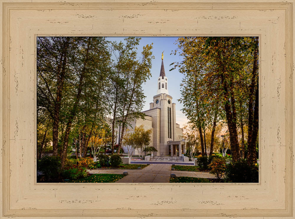 Boston Temple - Through the Trees by Scott Jarvie