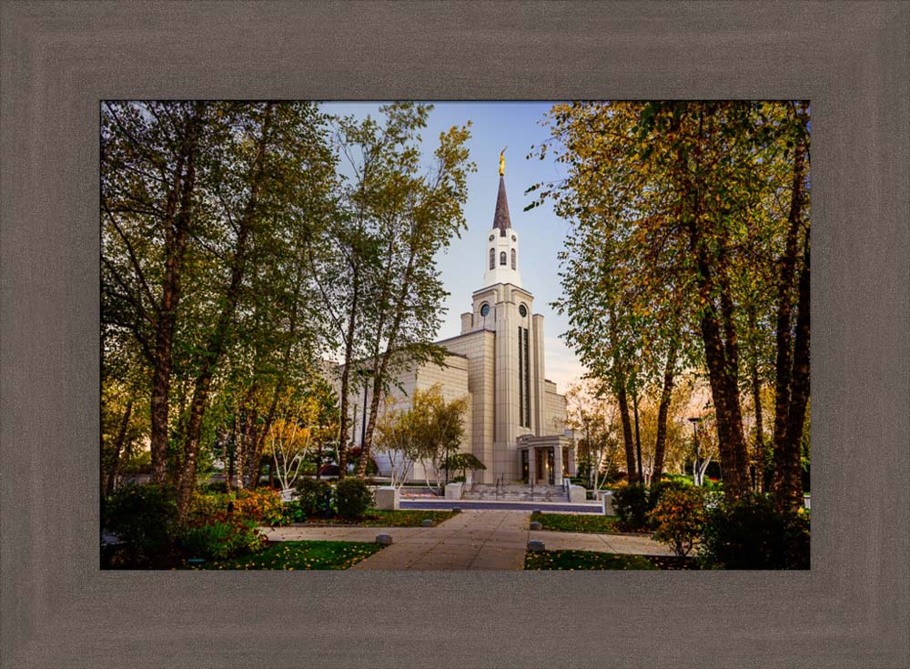 Boston Temple - Through the Trees by Scott Jarvie