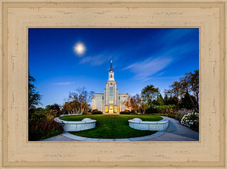 Boston Temple - Moonlight View by Scott Jarvie