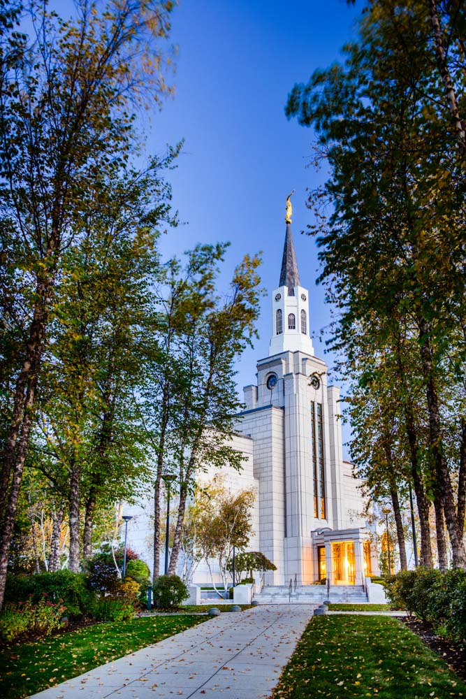 Boston Temple - Fall Pathway by Scott Jarvie