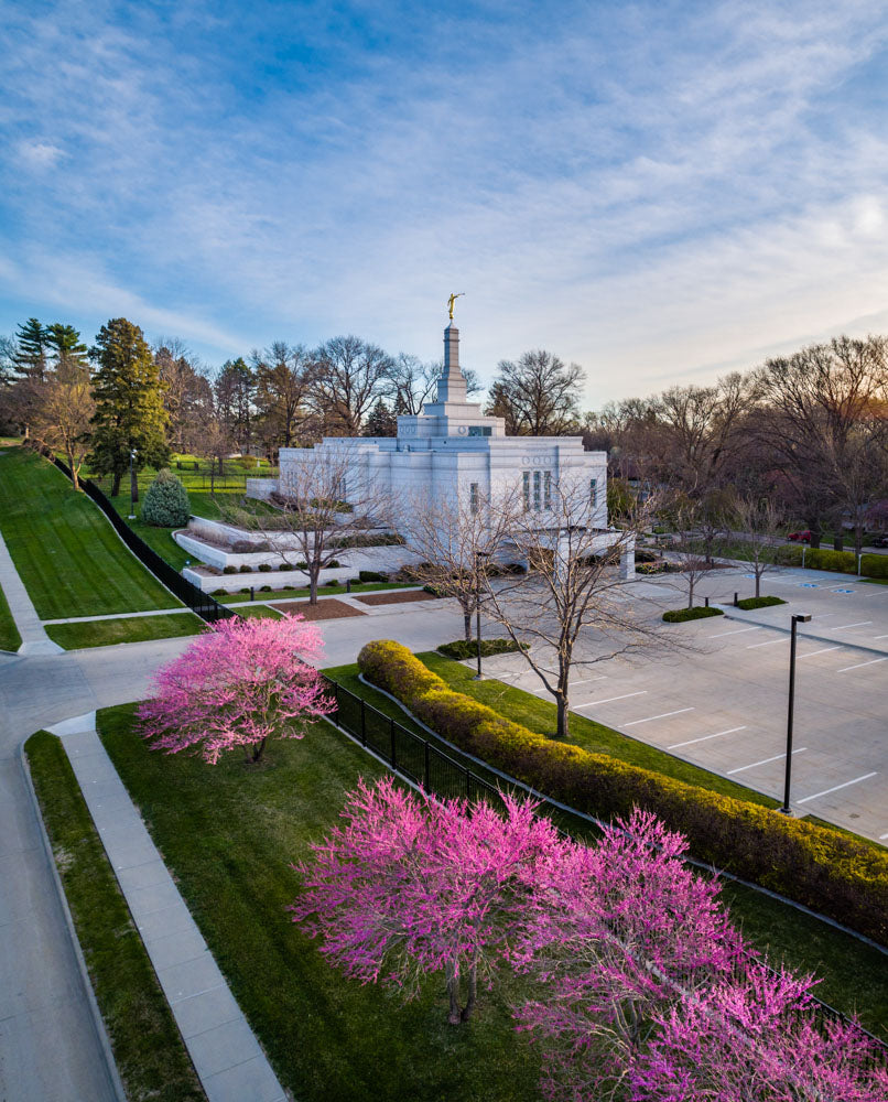 Winter Quarters Temple - Purple Spring by Scott Jarvie | Altus