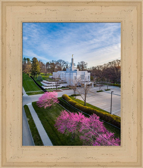 Winter Quarters Temple - Purple Spring by Scott Jarvie