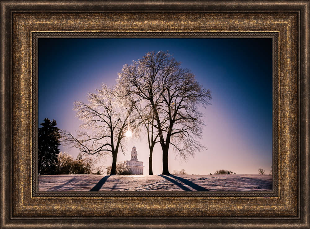 Nauvoo Temple - After an Ice Storm by Scott Jarvie