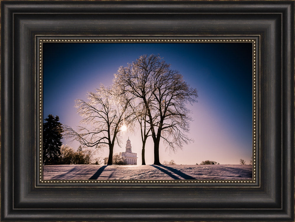 Nauvoo Temple - After an Ice Storm by Scott Jarvie