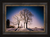 Nauvoo Temple - After an Ice Storm by Scott Jarvie