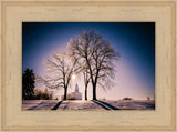 Nauvoo Temple - After an Ice Storm by Scott Jarvie