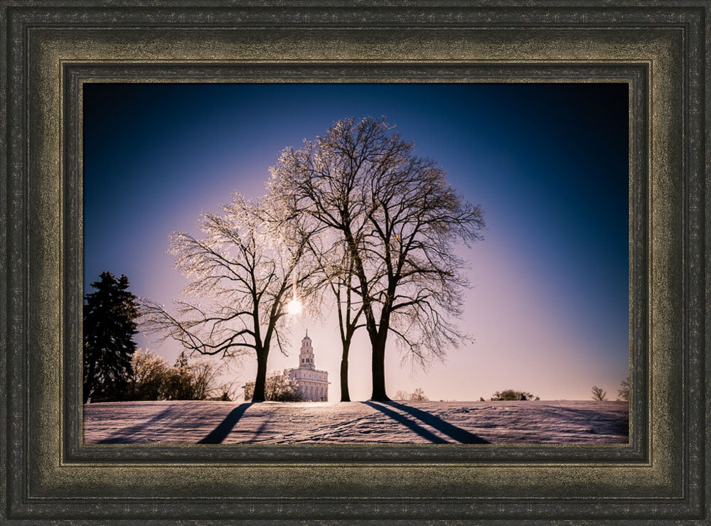 Nauvoo Temple - After an Ice Storm by Scott Jarvie