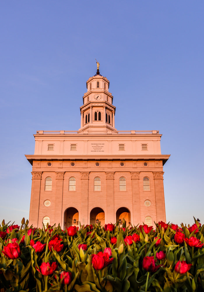 Nauvoo Temple - Tulips by Scott Jarvie