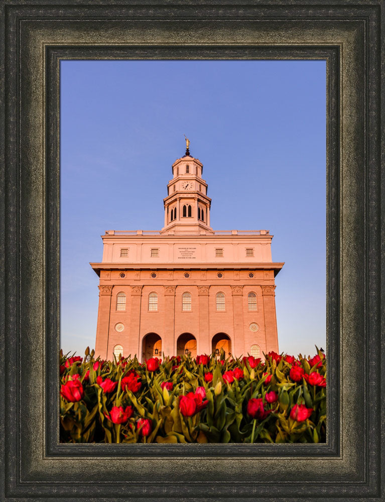 Nauvoo Temple - Tulips by Scott Jarvie