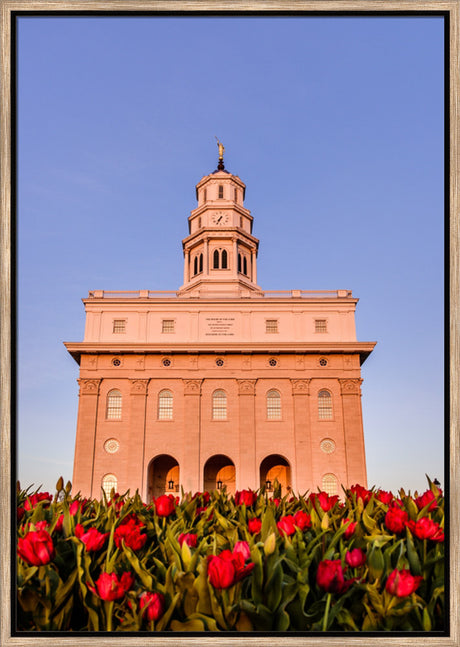 Nauvoo Temple - Tulips by Scott Jarvie