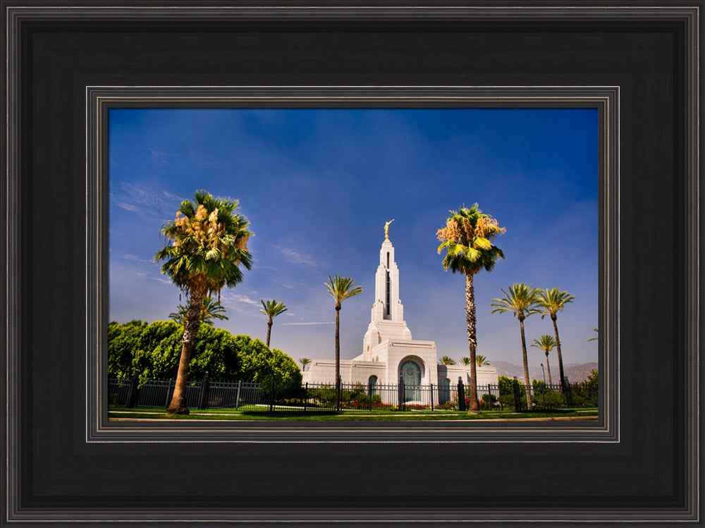 Redlands Temple - Through the Trees by Scott Jarvie