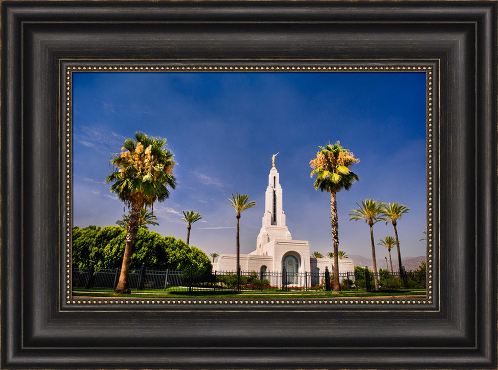 Redlands Temple - Through the Trees by Scott Jarvie