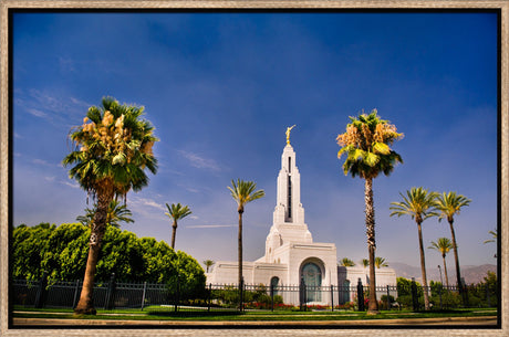 Redlands Temple - Through the Trees by Scott Jarvie