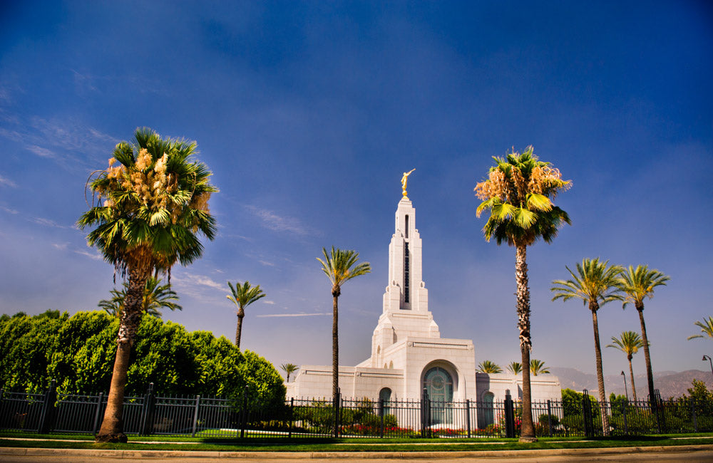 Redlands Temple - Through the Trees by Scott Jarvie
