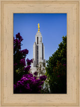 Redlands Temple - Spire by Scott Jarvie