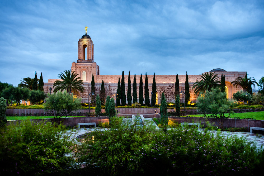 Newport Beach Temple - Wind Blown by Scott Jarvie