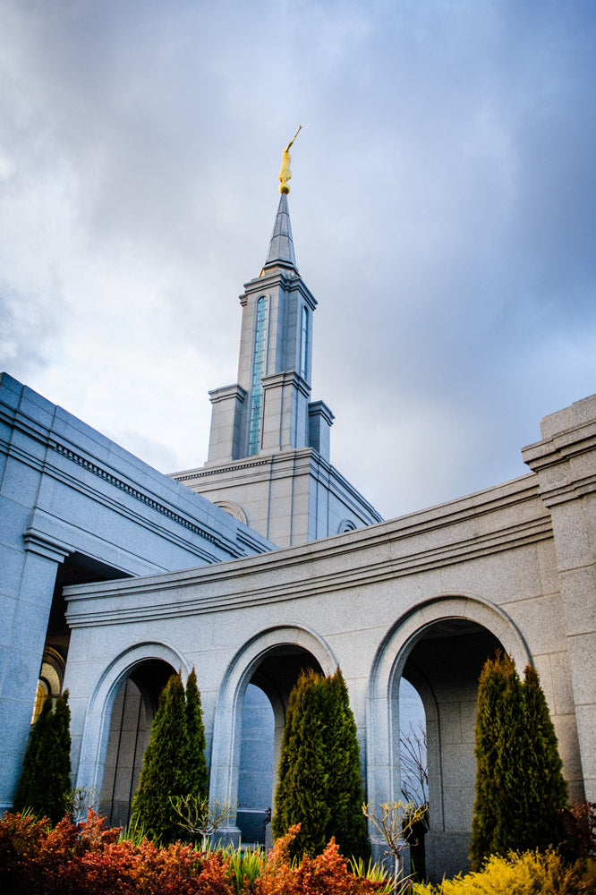 Sacramento Temple - Looking Up by Scott Jarvie